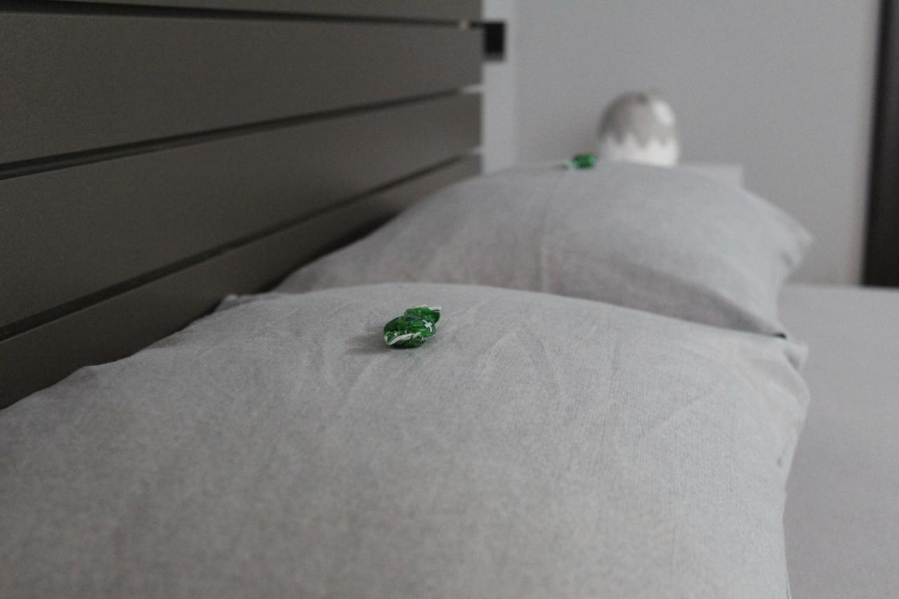 Apartman Daca พอดโกริกา ภายนอก รูปภาพ